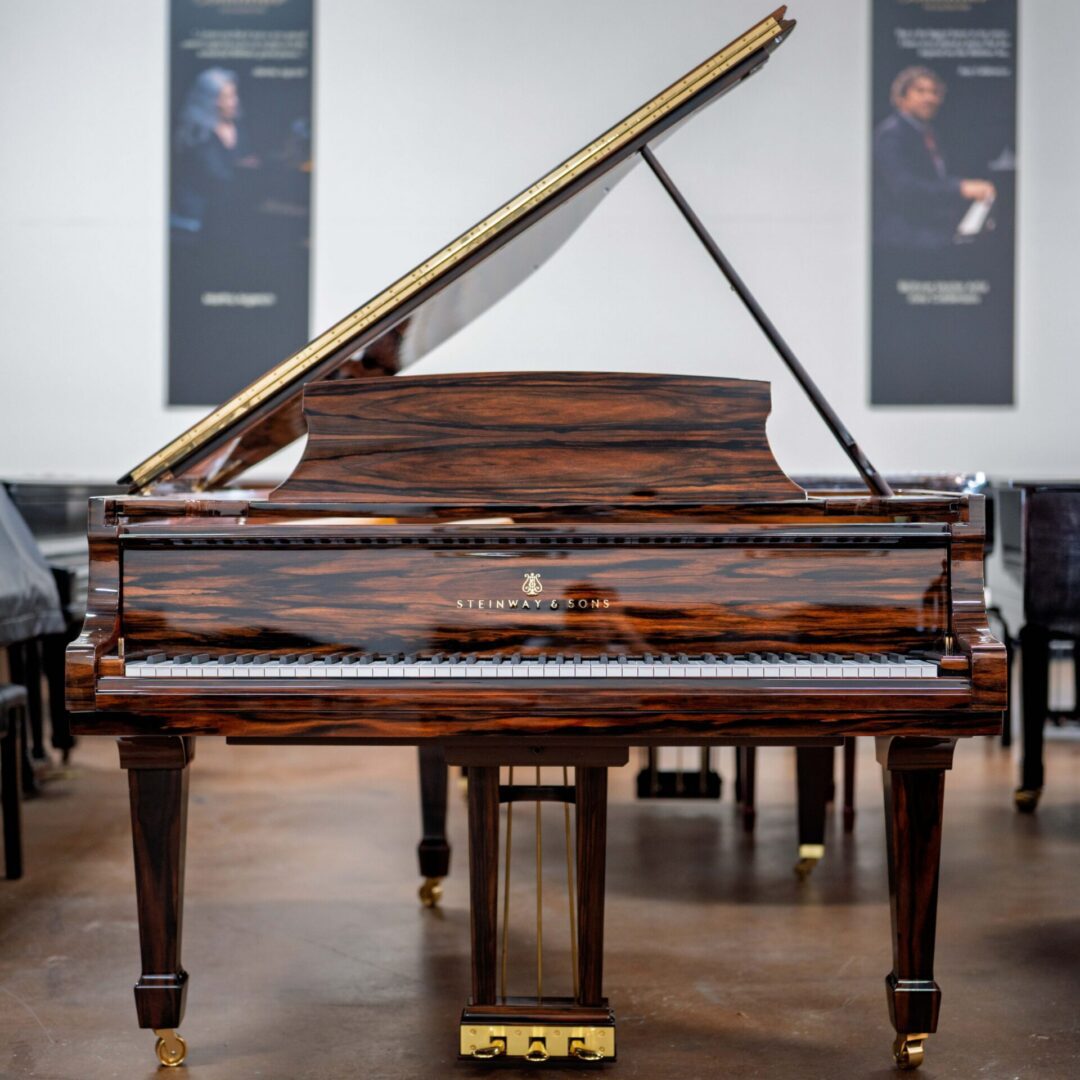 *Rare Finish* Steinway & Sons Model O Grand Piano Macassar